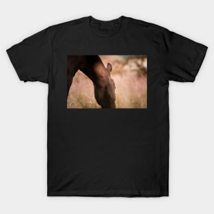 Romantic horse mood on the pasture T-Shirt